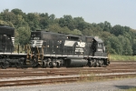 NS 5293